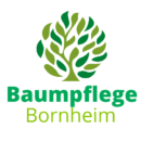 Baumpflege Bornheim